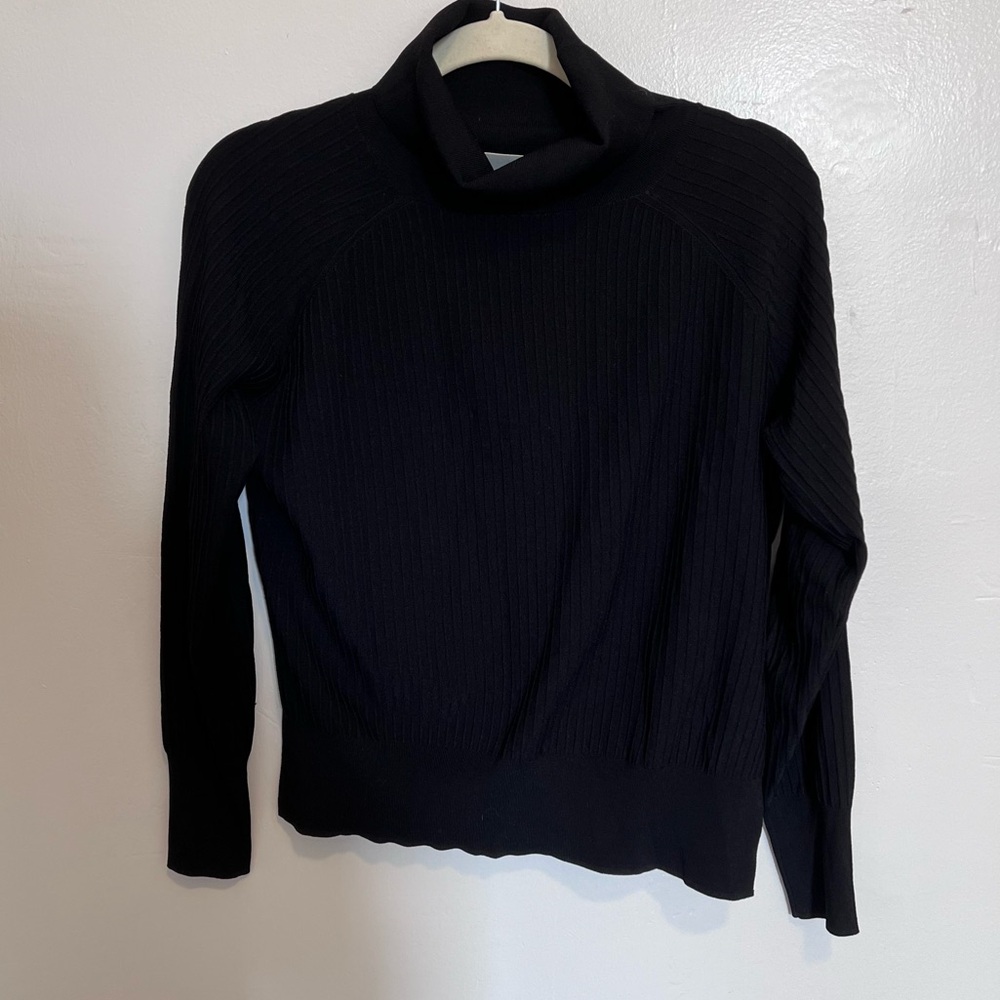 Aritzia Wilfred Free Black Turtle Neck